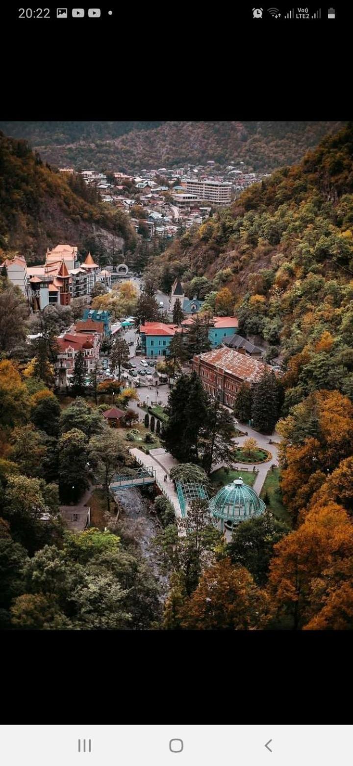 Gamsakhurdia Street Боржоми Номер фото